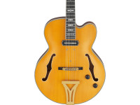 ibanez-pm3c-nal-pat-metheny_68650f7946738.jpg
