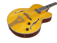 ibanez-pm3c-nal-pat-metheny_68650f810737a.jpg