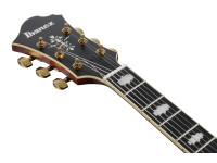 ibanez-pm3c-nal-pat-metheny_68650f88a84d7.jpg