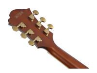 ibanez-pm3c-nal-pat-metheny_68650f8c3dead.jpg