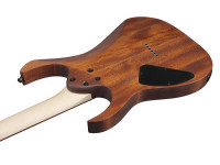 ibanez-rg421-mol_66978daec63f0.jpg