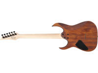 ibanez-rg421-mol_66978db517d30.jpg