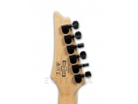 ibanez-rga42fm-blue-lagoon-burst-flat_5ff437a15eda8.jpg