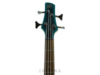 ibanez-sr300e-cub_612f5cbbc4d63.jpg