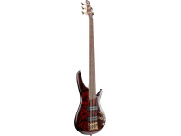 ibanez-sr305edx-wzm_679766a2d247b.jpg