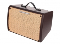 ibanez-t30ii-acoustic-combo_5c94ae5f5bcd5.jpg