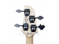ibanez-tmb100-wnf-talman-bass_5f720a3801f4e.jpg