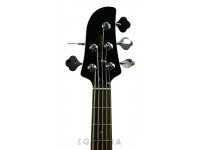 ibanez-tmb35-mgr-talman-short-scale_61309daf53f36.jpg