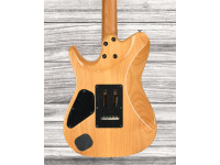 ibanez-tqms1-ctb_667eb70b8bcf3.jpg