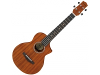 ibanez-uewt5-opn_5dced5c382b87.jpg