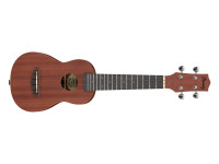ibanez-uks100-opn_622795b7422d2.jpg