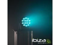 ibiza-projector-par-c-14-leds-6w-rgbw-dmx-thinpar-14x6w-rgbw_624487045a6c1.jpg