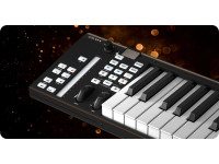icon-pro-audio-artist-37x_6a2c07d00822b.jpg