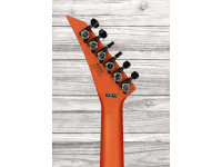 jackson-american-srs-sl2mg-slo_68fa3ac50e982.jpg