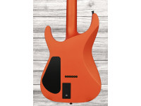 jackson-american-srs-sl2mg-slo_68fa3ad0a3ccb.jpg