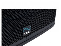 kali-audio-sw12-black_5f63407ea11cc.jpg