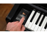 kawai-ca-901-ep_6416f55f0c686.jpg
