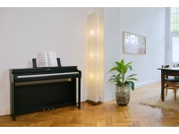 kawai-cn-29-b_5eb188fa87cee.jpg
