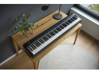 kawai-es-60_673db923d6c7b.jpg