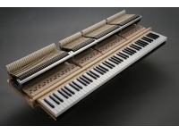 kawai-gl-10-wh_5eb29462e8724.jpg