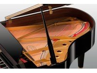kawai-gl-30_58e750260f7ae.jpg