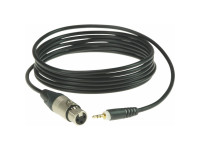 Cabos de áudio Klotz  XLR F/Mini-Jack AU-MF0300 3m 