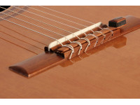 kna-pickups-ng-1_602150b67d4bf.jpg