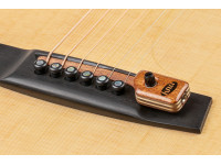 kna-pickups-sg-2_60225a61ae0c9.jpg