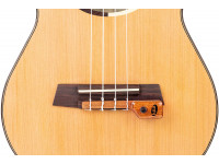 kna-pickups-uk-2_6023b9cb2f370.jpg