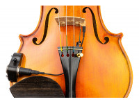 kna-pickups-vv-3v_6023ff34e7fa6.jpg