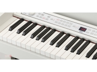 korg-c1-air-wh_5b3cddebd48ae.jpg