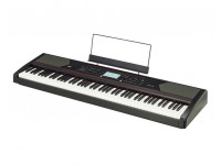 korg-ensemble-havian-30_5ffedc9fb9c66.jpg