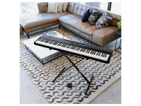 korg-l1-liano_63ef585ac95eb.jpg