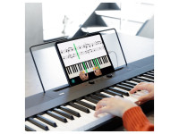 korg-l1-liano_63ef585bbb5c5.jpg