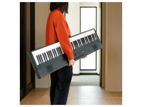 korg-l1-liano_63ef585c35bd8.jpg