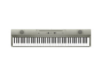 korg-liano-metallic-silver_65560b6b42761.jpg