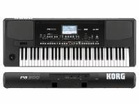 korg-pa300_592d33d35e107.jpg