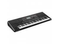 korg-pa300_63bd87c983d03.jpg