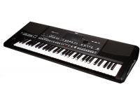 Teclado/Teclados Arrangers Korg PA600 