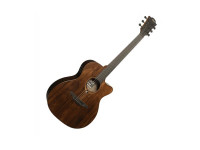 lag-auditorium-cutway-a-e-sauvage_660eb41a39eff.jpg