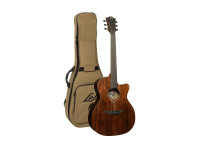 lag-auditorium-cutway-a-e-sauvage_660eb41f95615.jpg