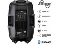 laney-ah115-g2_60dc2e85a6f2b.jpg