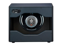 laney-cub-112-cabinet_60db310b40994.jpg