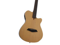 larry-carlton-g5a-natural_6926dacf61c84.jpg