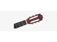 larry-carlton-g5n-natural_69443b0824939.jpg