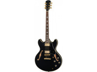 larry-carlton-h7-bk_61af977ee2211.jpg