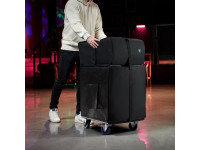 ld-systems-dave-12-g4x-bag-set_680a5e6fce8d0.jpg