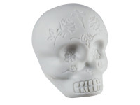 lp-shaker-lp006-skull-shaker-branco-glow-in-the-dark_65af841048c4b.jpg