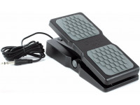 m-audio-ex-p_6156f448e7791.jpg