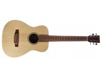 martin-little-martin-lx1-e_58dbea5a6d932.jpg
